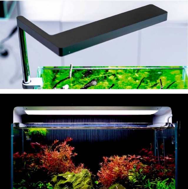 flat one light on aquarium